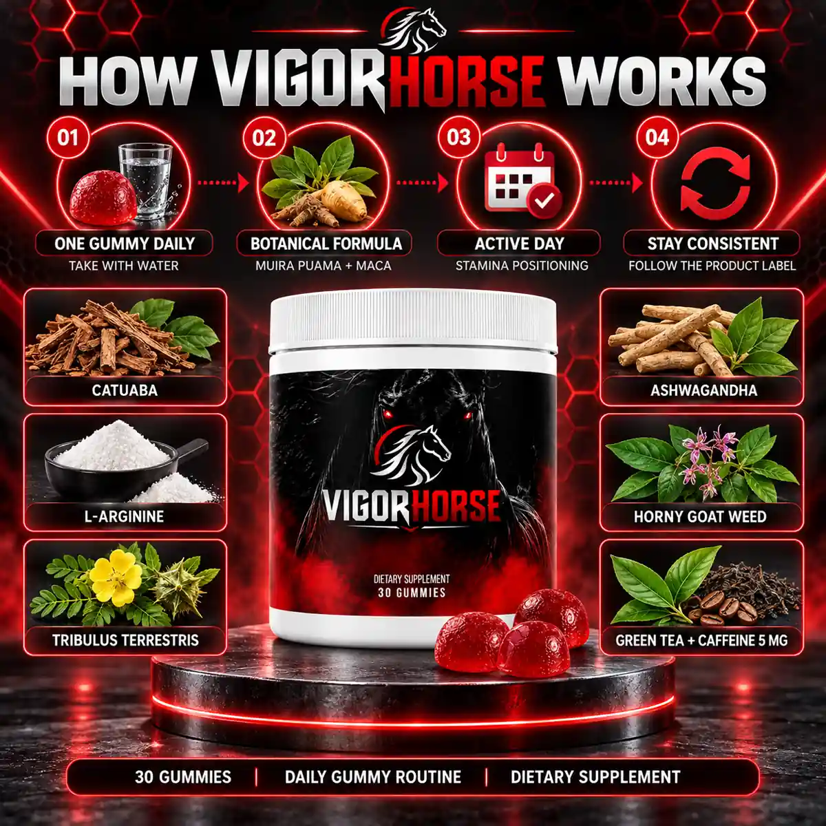 The seller's How VigorHorse Works graphic showing the daily routine and eight named ingredient groups
