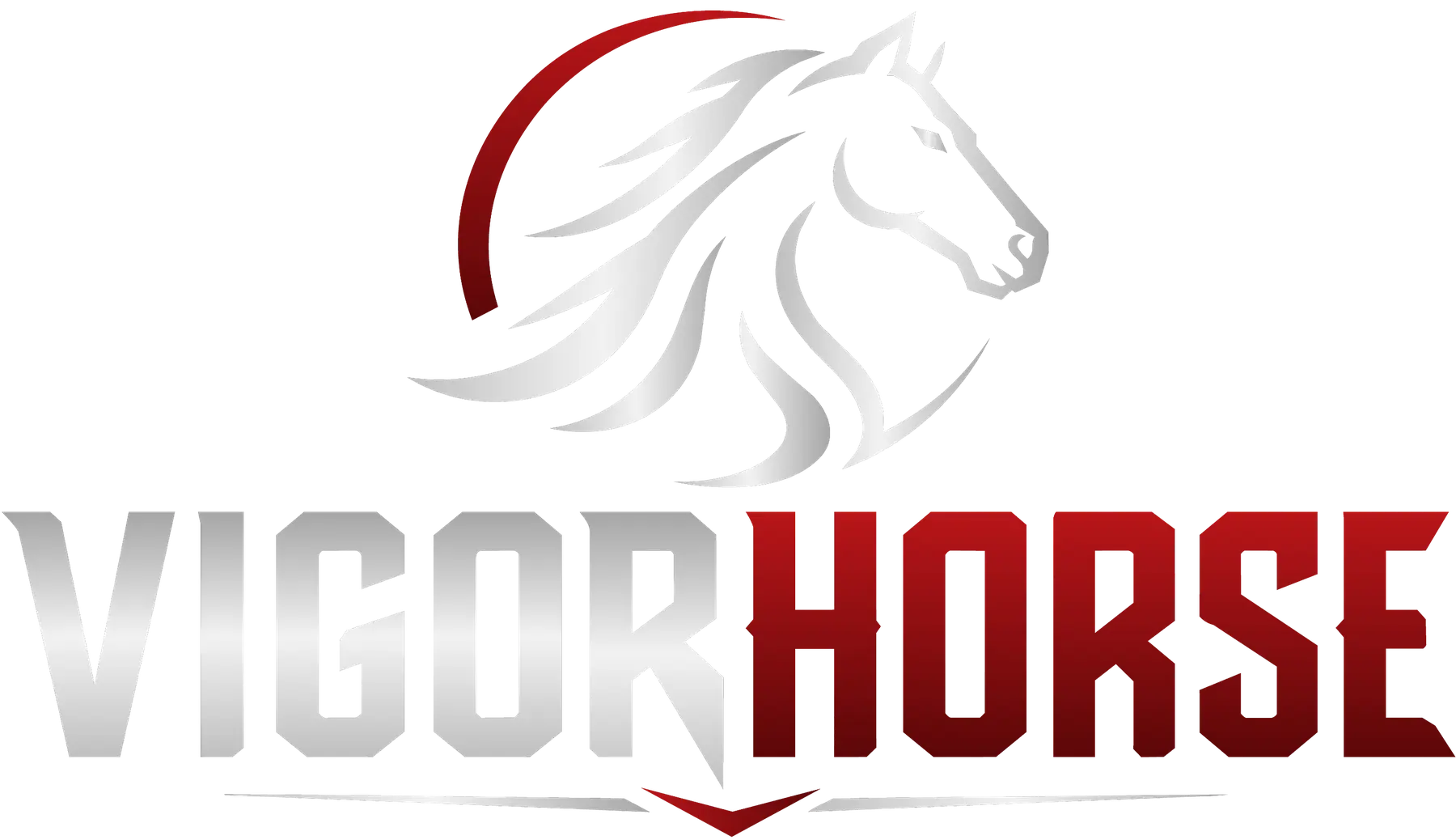 The VigorHorse brand mark, a horse's head above the wordmark